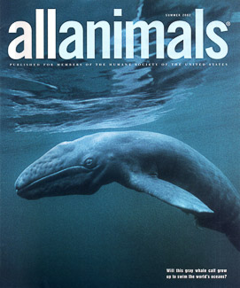 Cover of All Animals Magazine Cover of All Animals Magazine