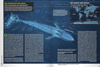 Welt Der Wunder, blue whale aerial Welt Der Wunder, blue whale aerial