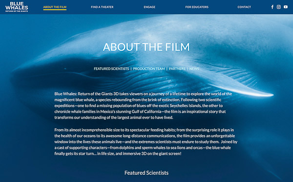 Blue Whale Film / SK Films Blue Whale Film / SK Films