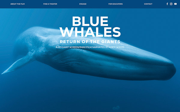 Blue Whale Film / SK Films Blue Whale Film / SK Films
