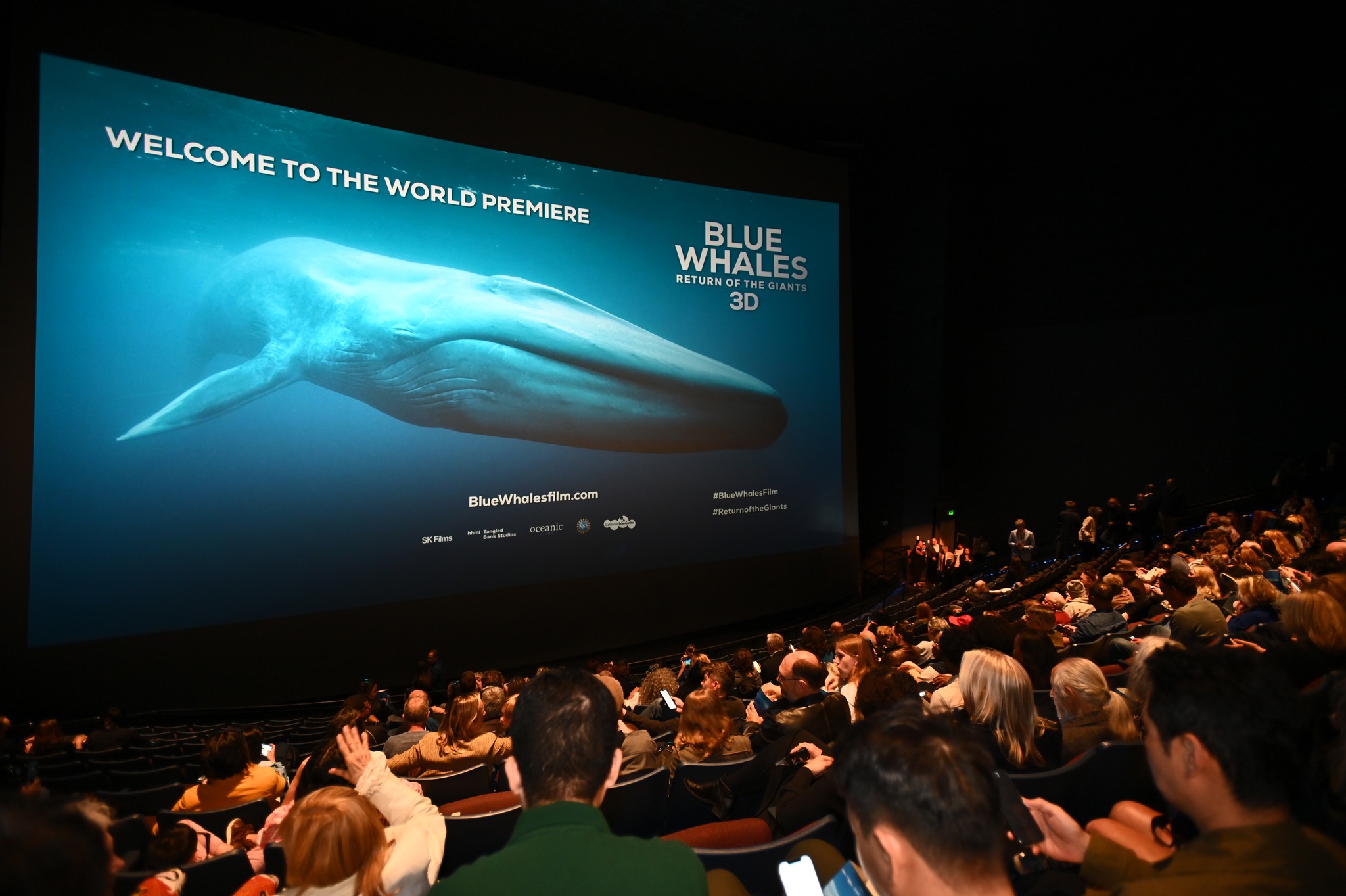 Blue Whale Film / SK Films Blue Whale Film / SK Films