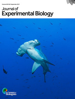 Cover of Experimental Biology Cover of Experimental Biology