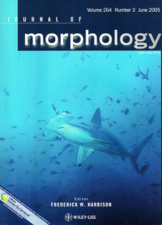 Cover of Morphology Cover of Morphology