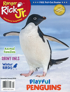 Ranger Rick Jr Cover, penguin Ranger Rick Jr Cover, penguin