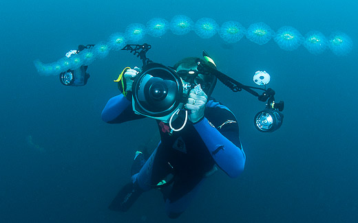 Photographing salps and zooplankton in the open ocean, photo by Mike Johnson / Earthwindow.com Photographing salps and zooplankton in the open ocean, photo by Mike Johnson / Earthwindow.com