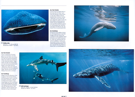 Unterwasser Spread