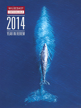 Wildcoast cover, gray whales Wildcoast Cover, gray whales